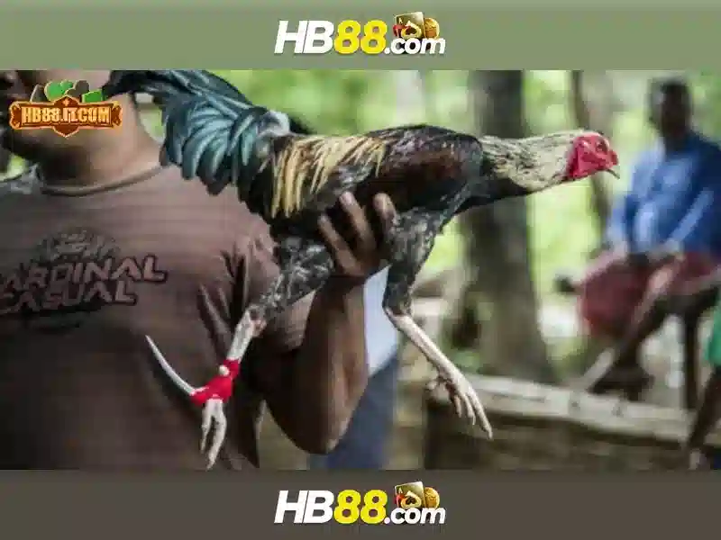 Khuyến mãi tải HB88