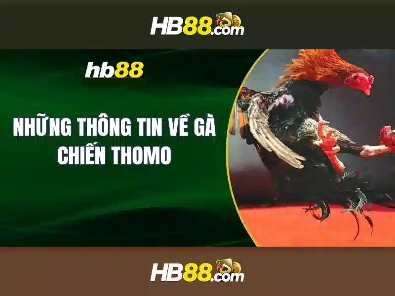 Khuyến Mãi Đặc Biệt