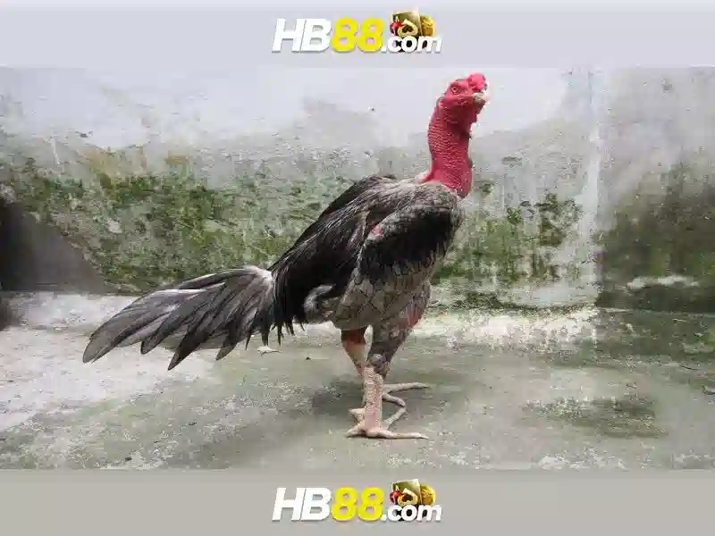 HB88 Slot