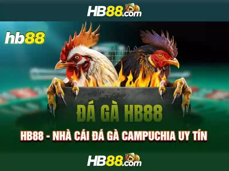 Xác Thực Đa Lớp