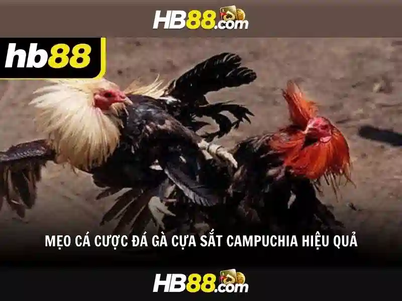 Kinh Nghiệm Chơi Slot Đỉnh Cao Tại HB88