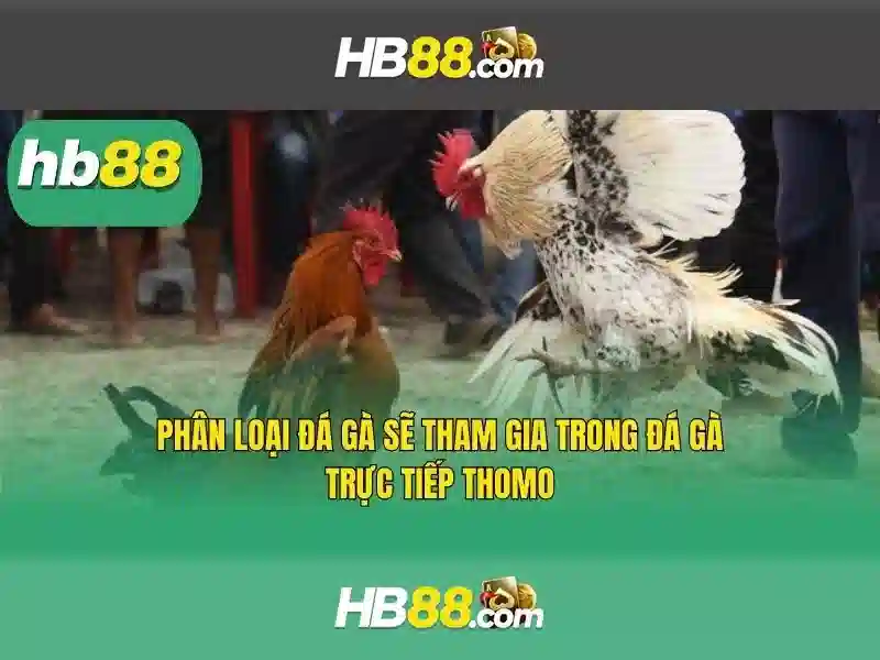 Tại Sao Nên Theo Dõi Tag Slot