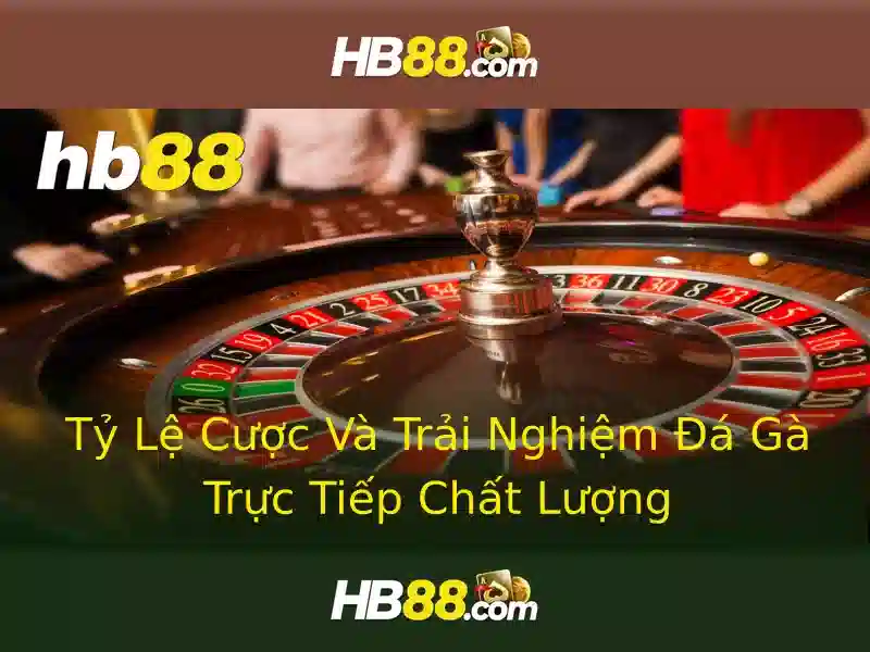 Đặc điểm nổi bật