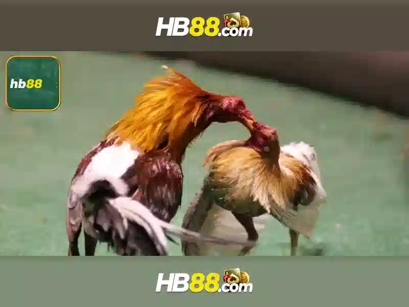 Hướng dẫn truy cập nhanh chóng