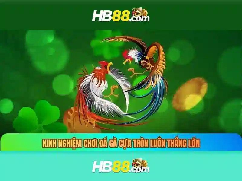 Tải HB88 – Ứng Dụng Slot 2026