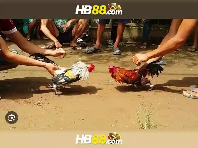 Trải nghiệm slot đỉnh cao tại HB88