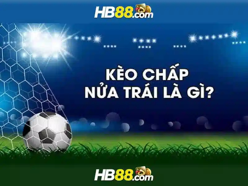 Giới Thiệu Về Tag Slot HB88