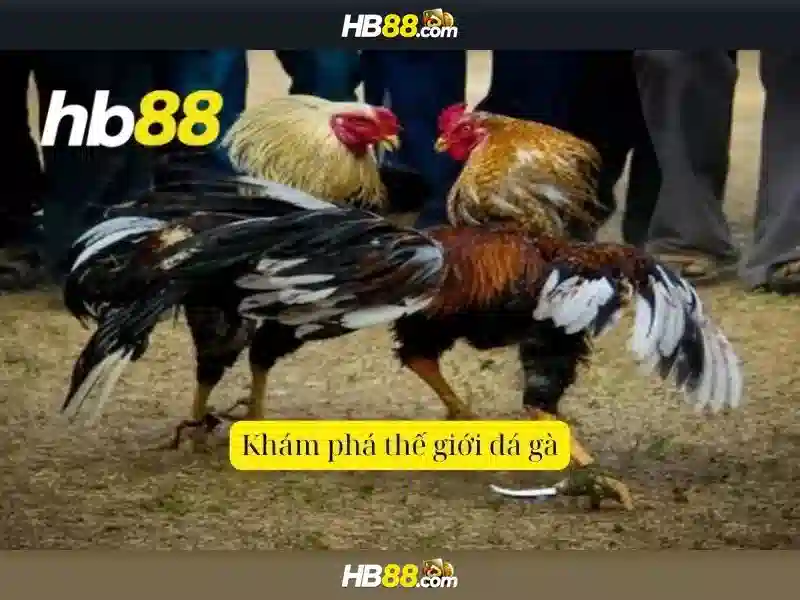 Giới Thiệu Về hb88 Uy Tín Số 1