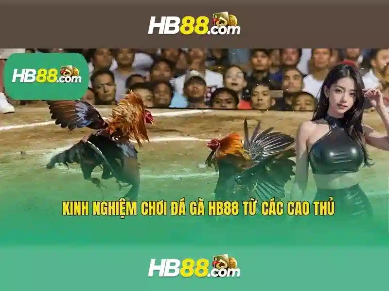 HB88 - Trải Nghiệm Cược Trực Tuyến Thú Vị Với Game HB88 - Copyright © 2026