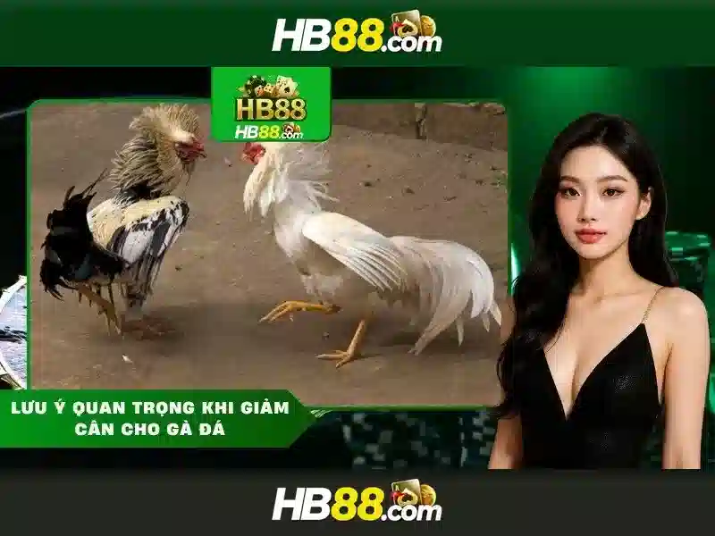 bắn cá HB88