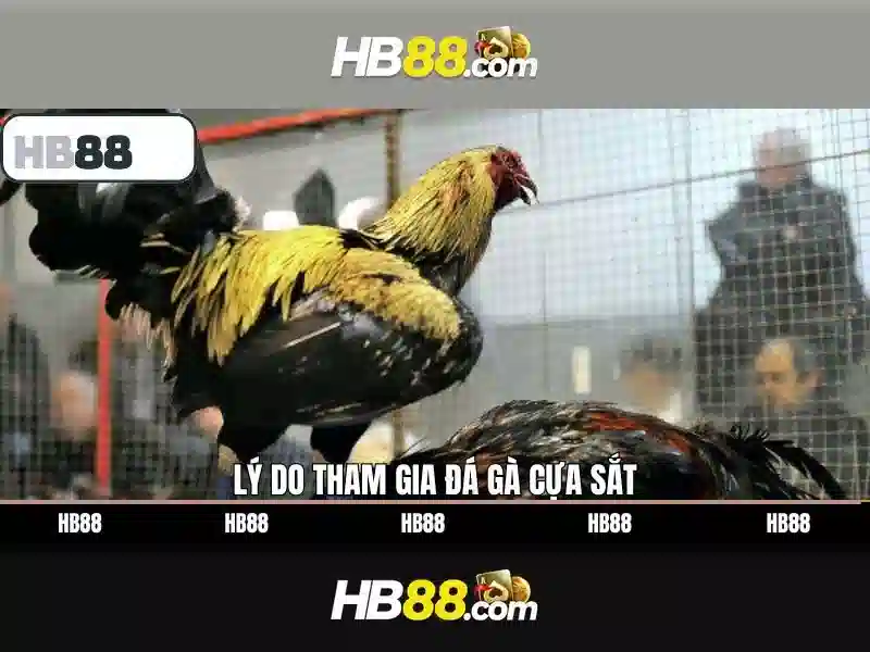 Trải nghiệm slot đổi thưởng HB88