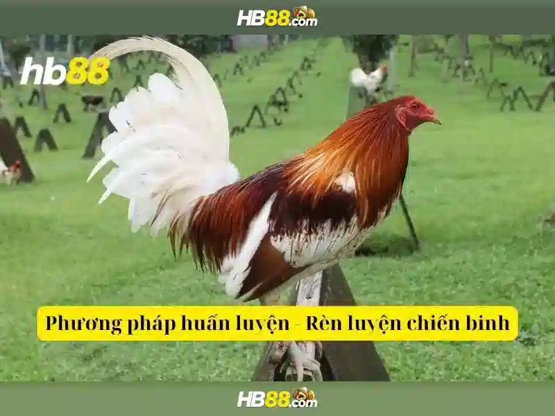 Quy Trình Đăng Ký Slot HB88