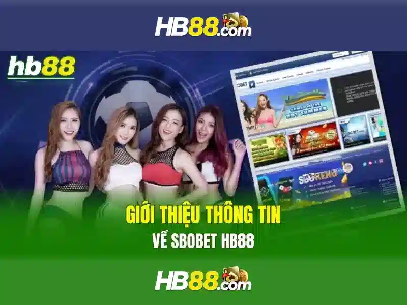 Hướng dẫn cách tham gia các giải thưởng và khuyến mãi tại HB88