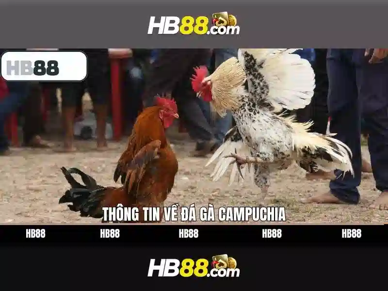 Ưu Điểm Nổi Bật