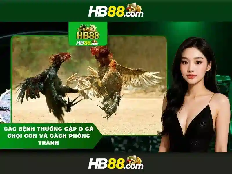 tính năng HB88