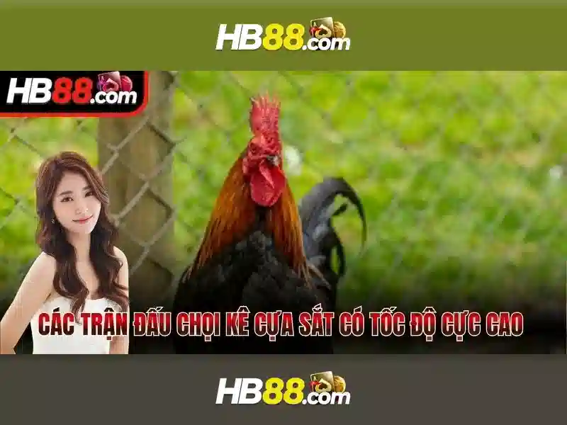 ưu đãi slot