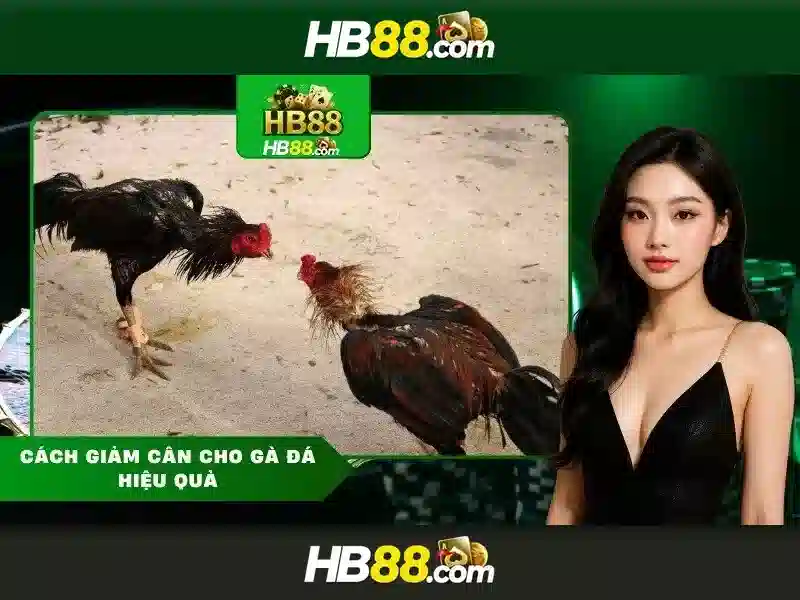 cách tham gia hiệu quả