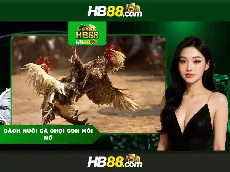 Ưu điểm slot HB88