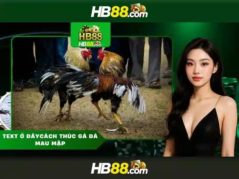 Chương Trình Khuyến Mãi HB88