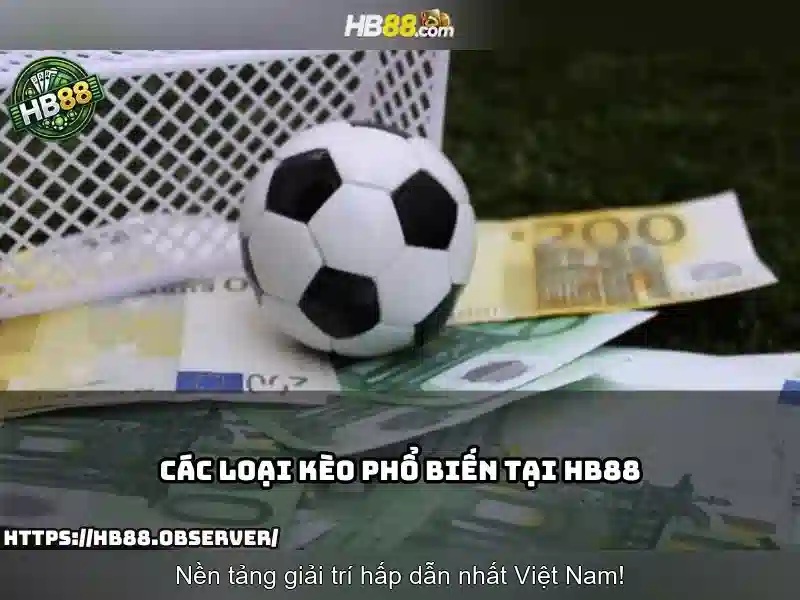 HB88 Sơ Đồ Mạng