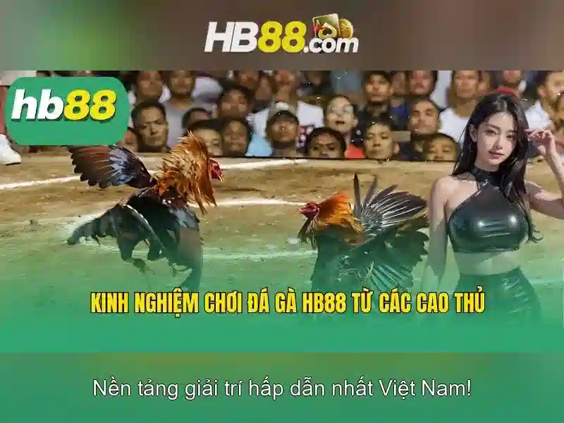 Tận Dụng Quyền Riêng Tư Hiệu Quả