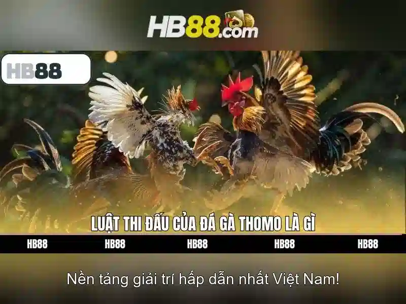 Quy Trình Đăng Ký