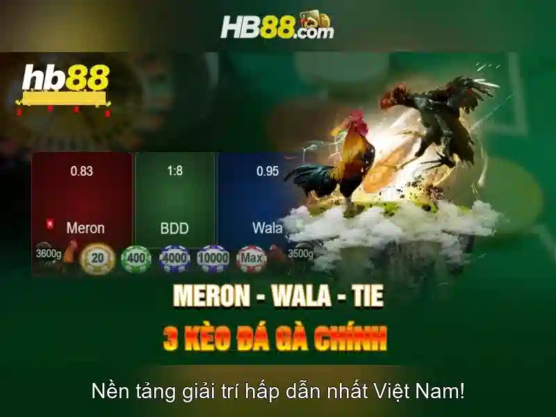 Dịch vụ HB88