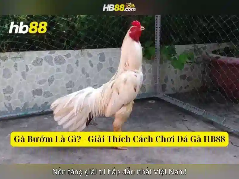 khuyến mãi slot HB88