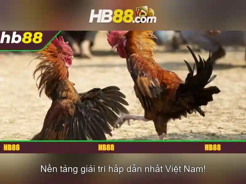 Tính năng nổi bật của hb88 android