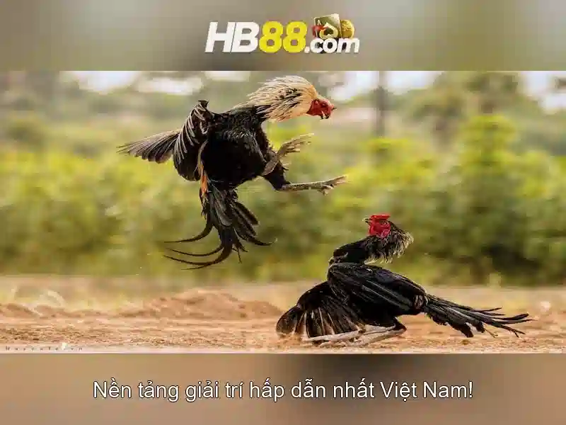 Cách Tham Gia Trò Chơi Slot Tại HB88 Chính Thức
