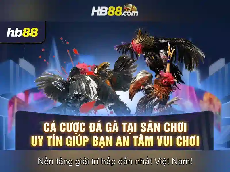 Ưu Đãi Đặc Biệt Cho Thành Viên HB88