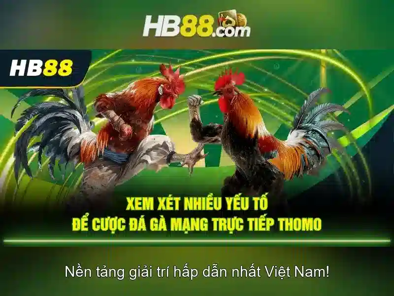 Giới Thiệu Về Trang Chu HB88