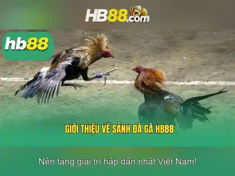 Đặc Điểm Nổi Bật
