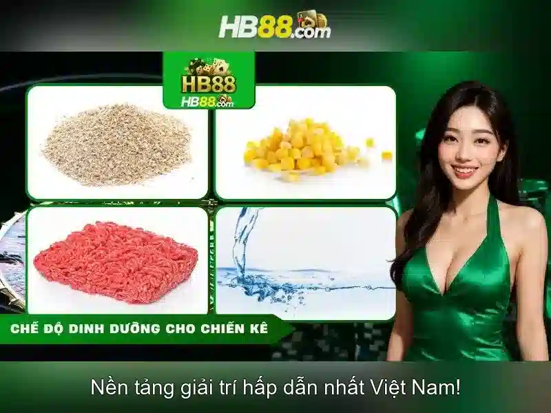 hb88 login