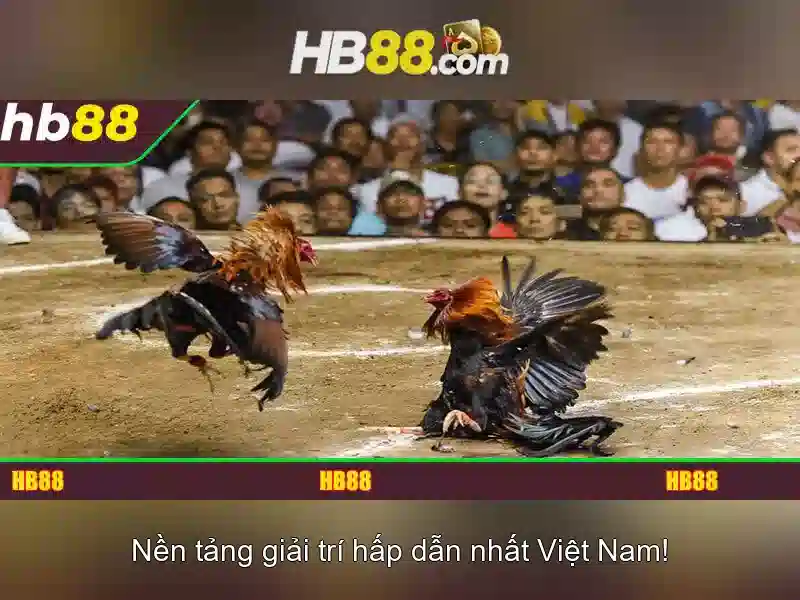 HB88 Trang Chủ