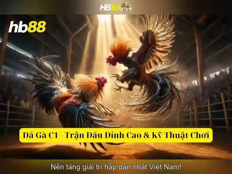 Chương Trình Thưởng HB88