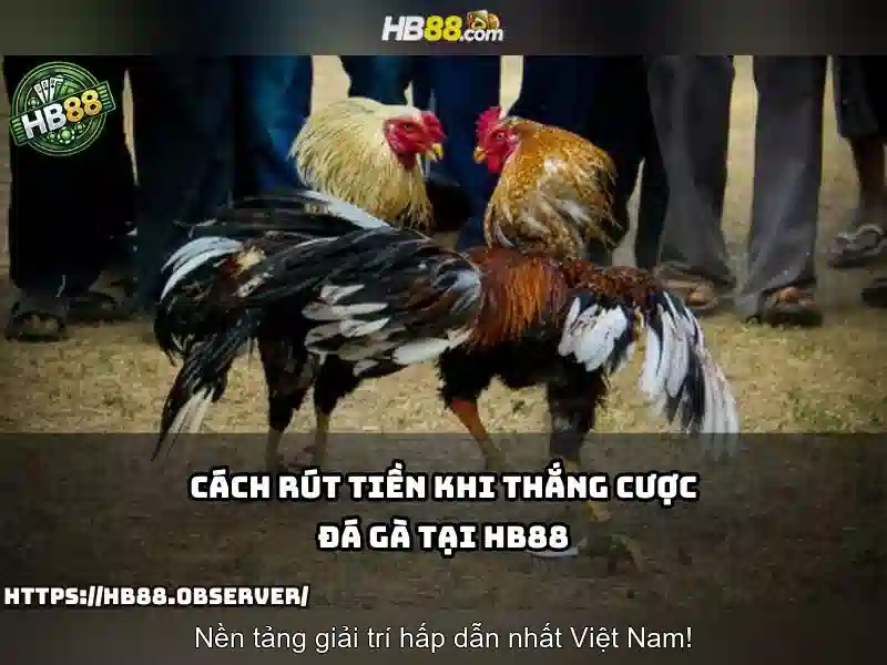 ưu điểm tải app hb88