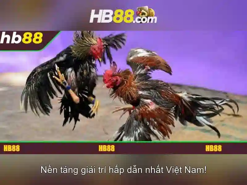 Bảng so sánh 5x5 đối thủ ngành