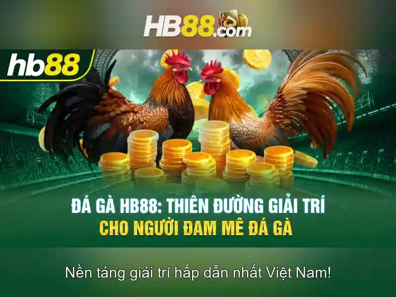 Điều Cần Chuẩn Bị