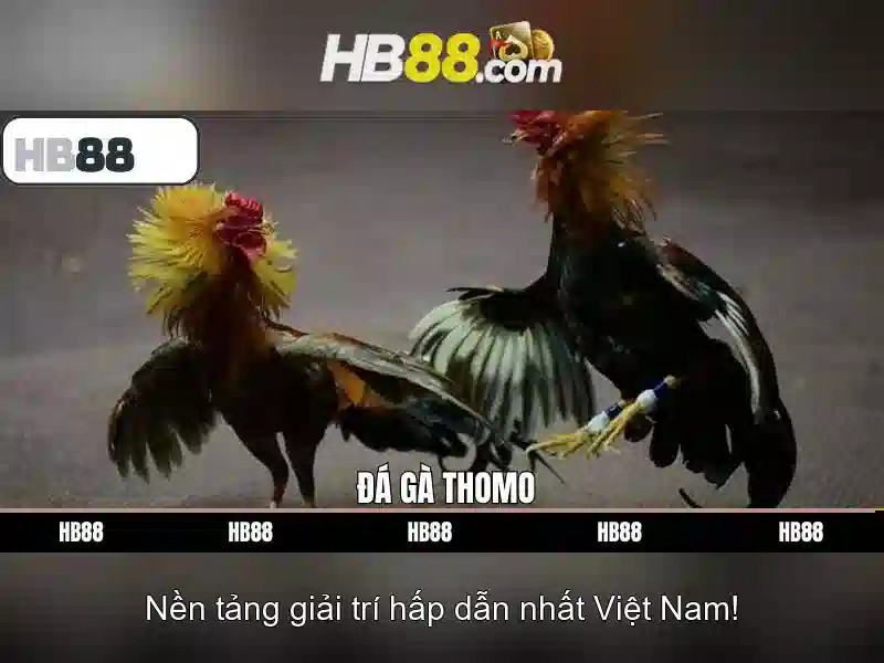 Đặc Điểm Nổi Bật Của Game Bài HB88