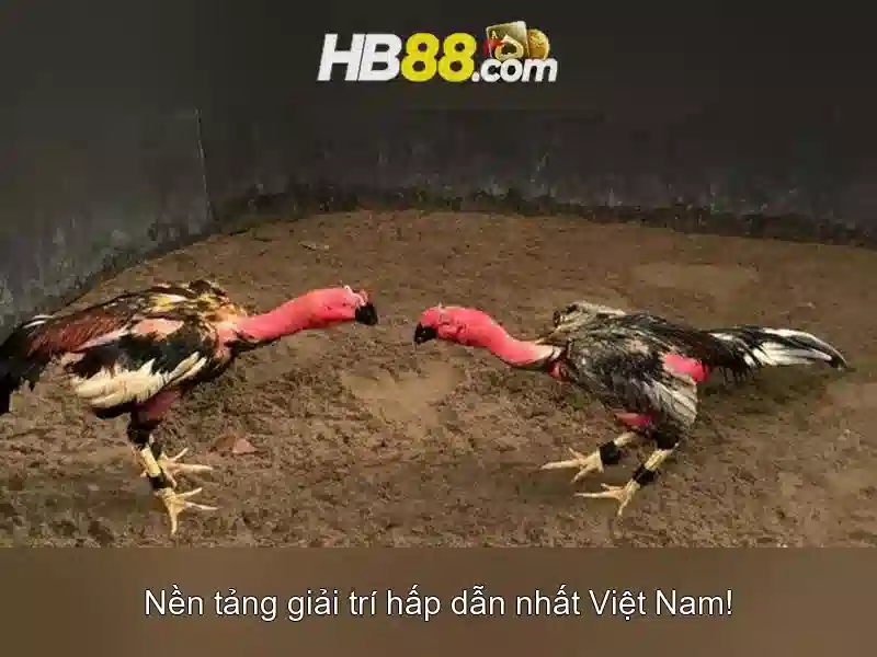 Giải Pháp Tối Ưu Cho Người Chơi Slot